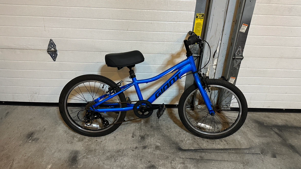 Blue Giant Youth Bicycle