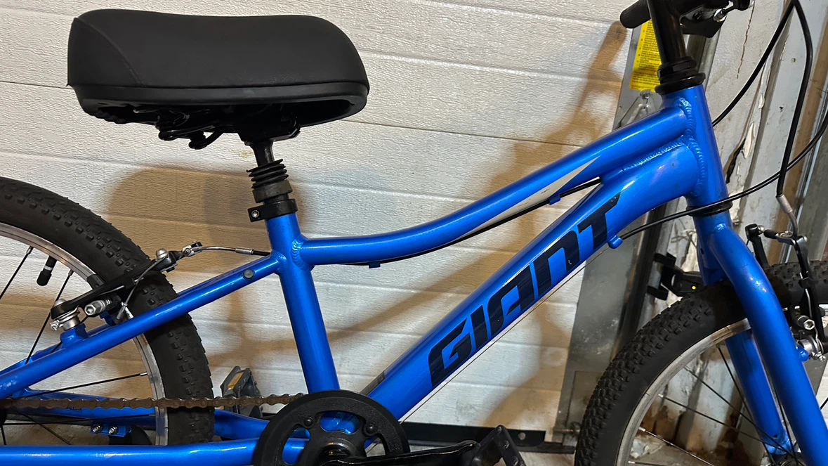 Blue Giant Youth Bicycle - photo 3