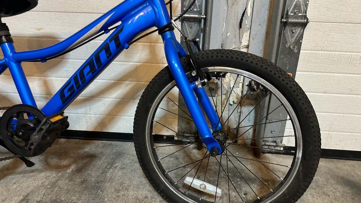 Blue Giant Youth Bicycle - photo 4