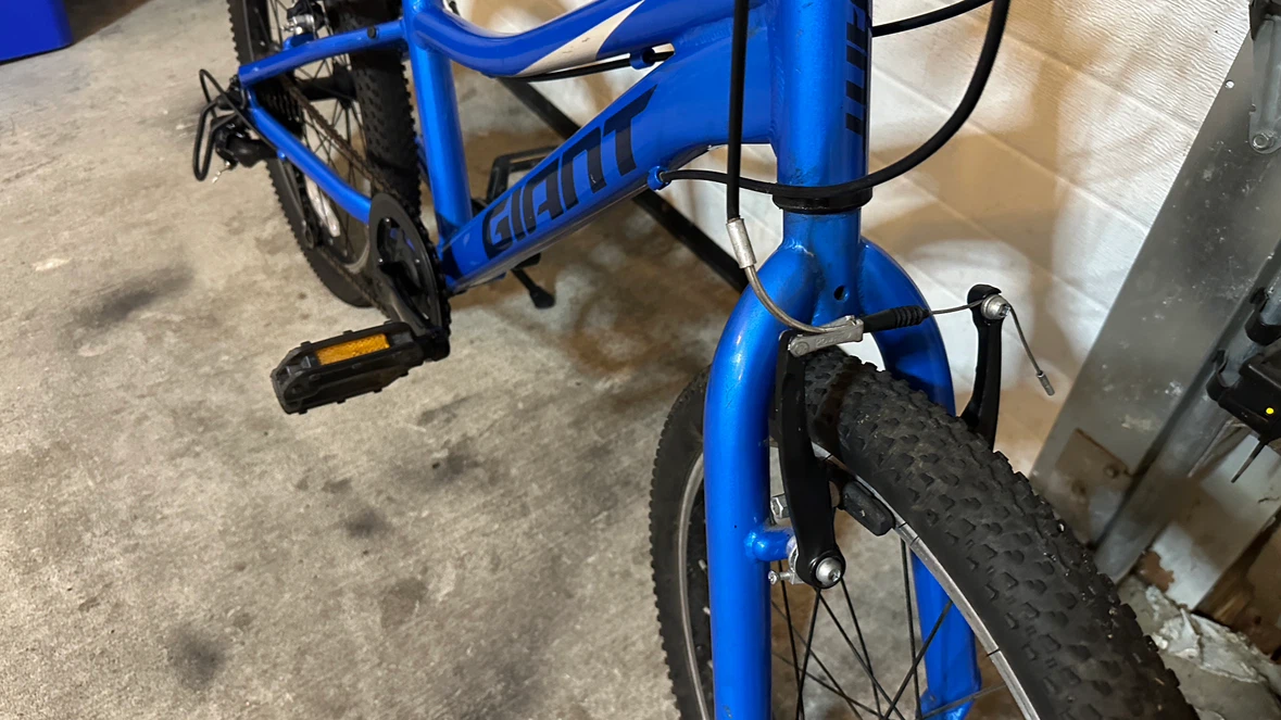 Blue Giant Youth Bicycle - photo 5