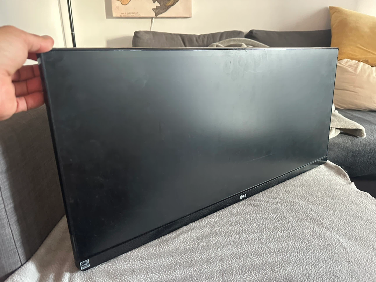 LG 29UM57-P Ultrawide Monitor