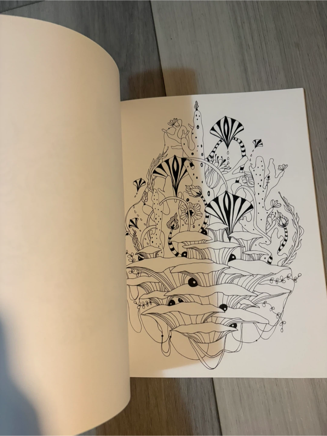 Botanical Wonderland Coloring Book by Rachel Reinert - photo 2