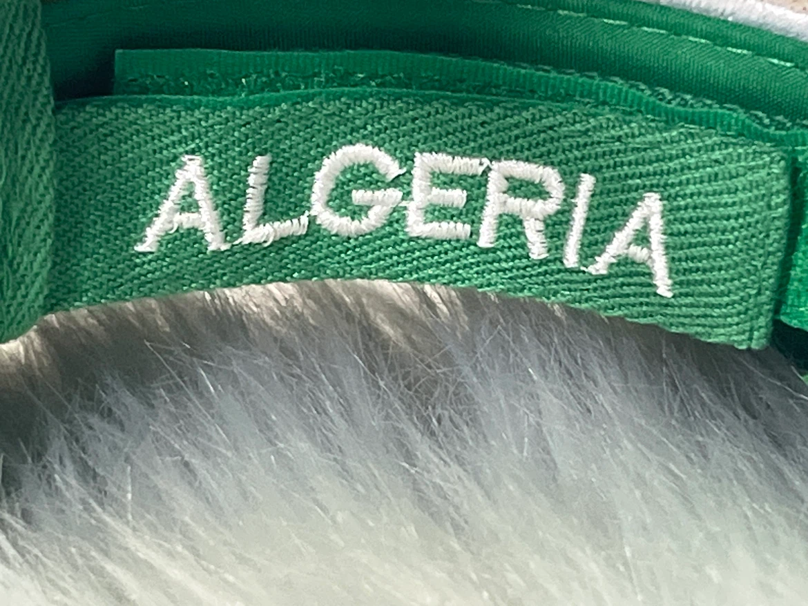 🇩🇿 Premium Algeria Country Flag Baseball Cap - photo 3