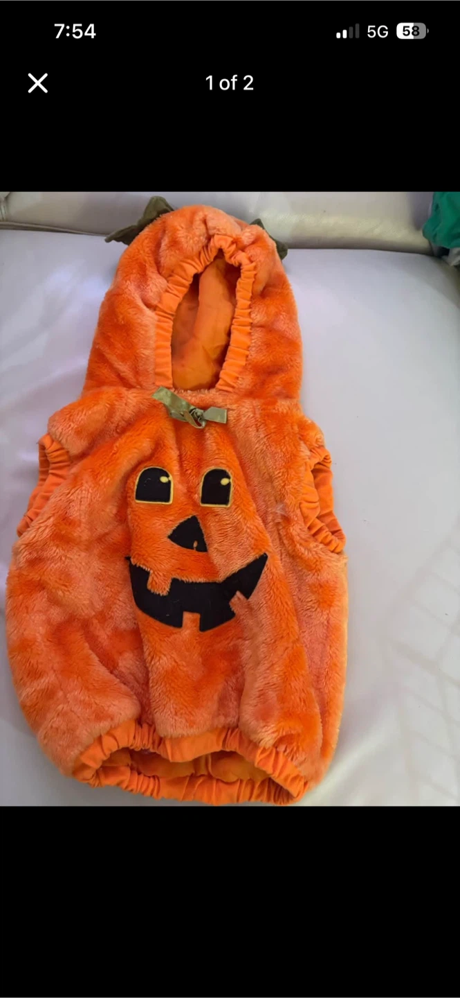 Plush Pumpkin Halloween Costume