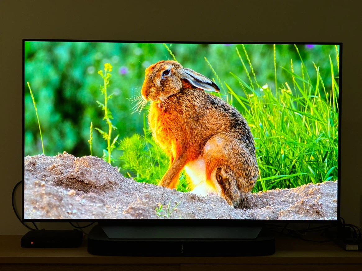 LG 55-inch OLED Smart TV
