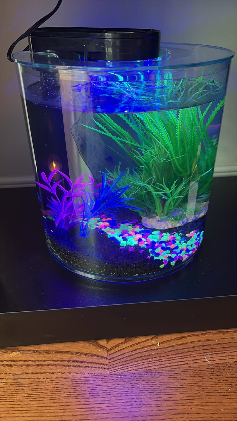 Top Fin LED Cylinder Aquarium