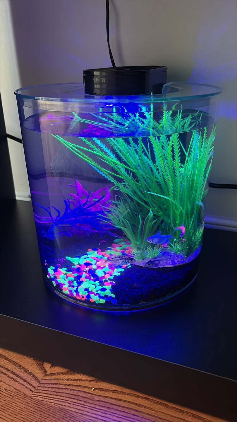 Top Fin LED Cylinder Aquarium - photo 3