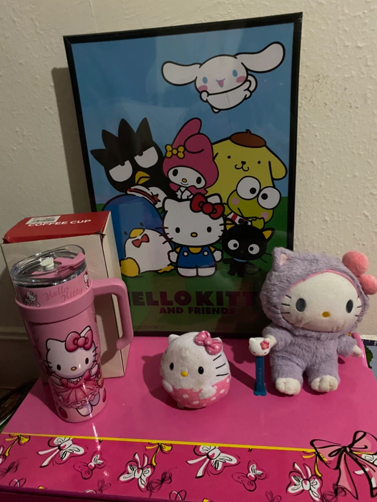 Hello Kitty and Friends Collection Items