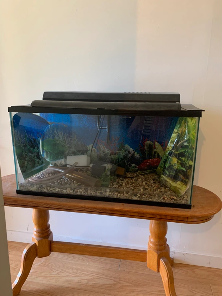 Glass Aquarium Tank with Lid and Light
