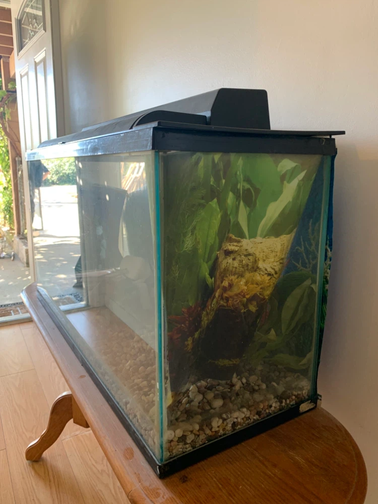 Glass Aquarium Tank with Lid and Light - photo 2