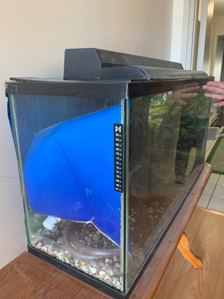Glass Aquarium Tank with Lid and Light - photo 3