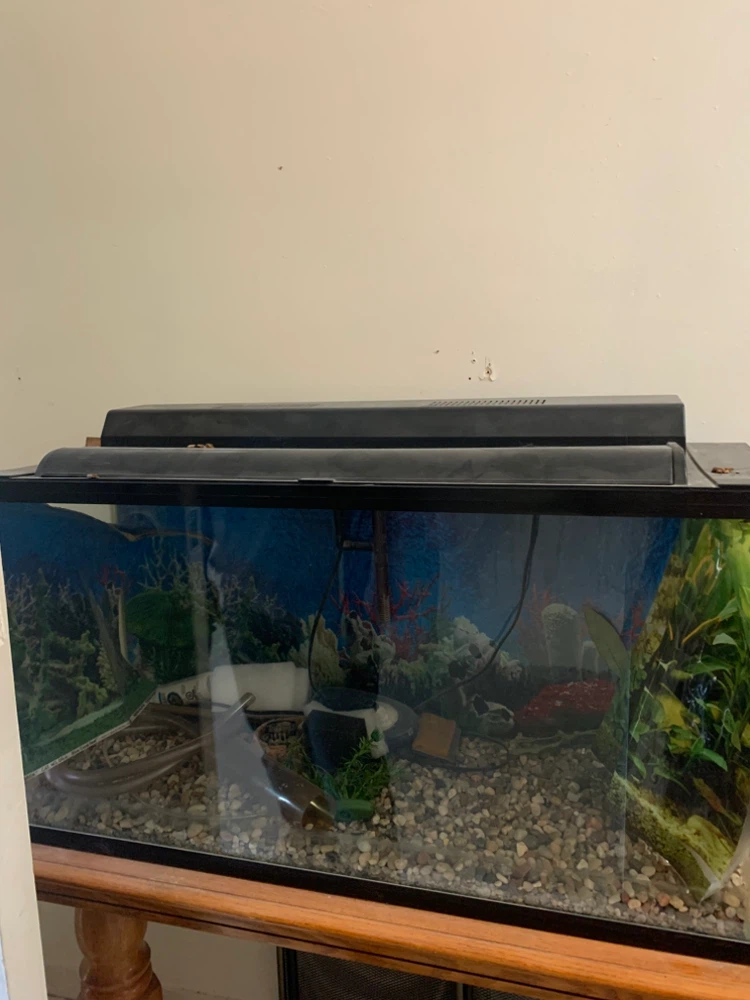 Glass Aquarium Tank with Lid and Light - photo 4