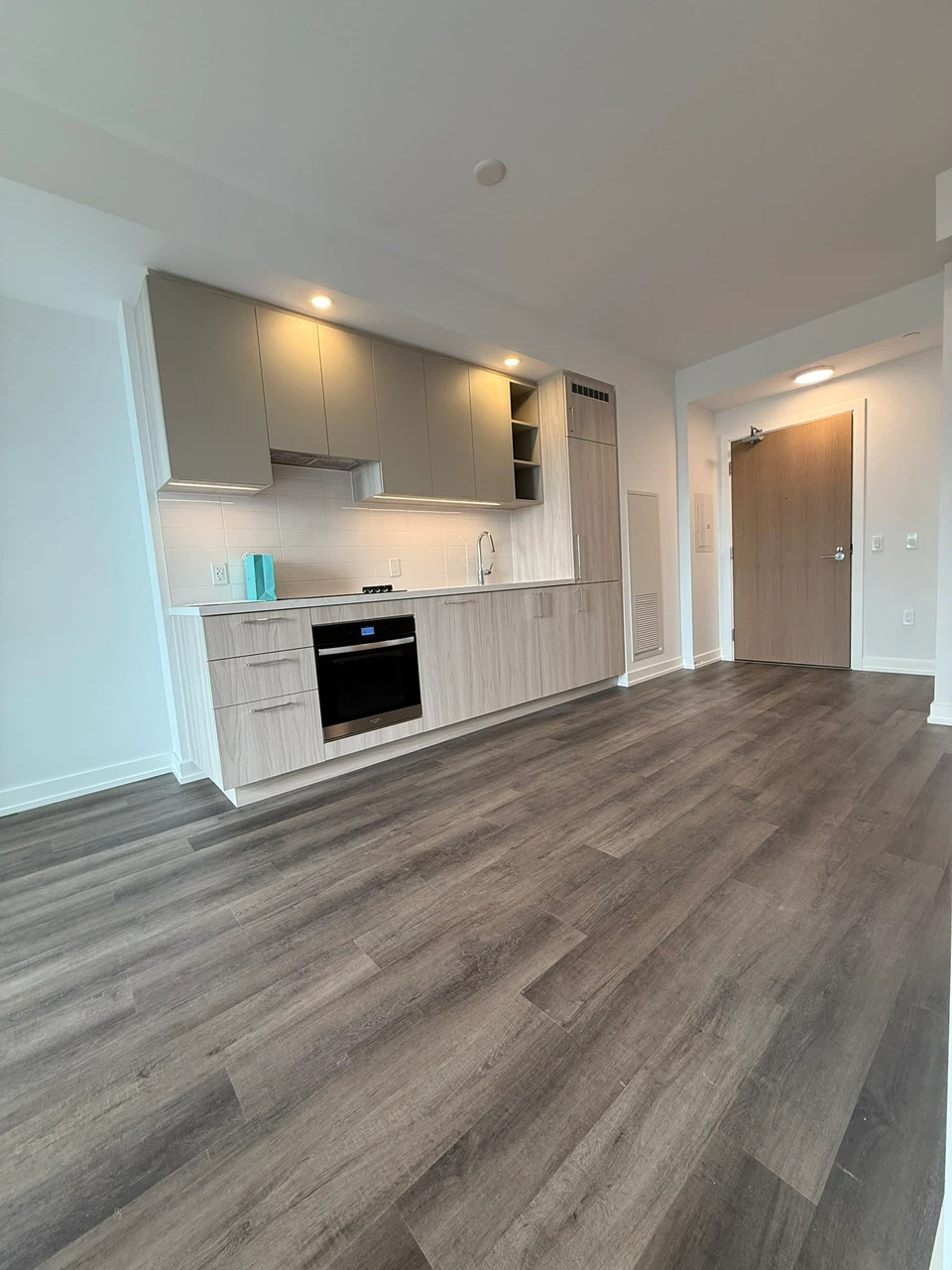 Brand new 1+1 Unit for Lease with Parking - photo 3