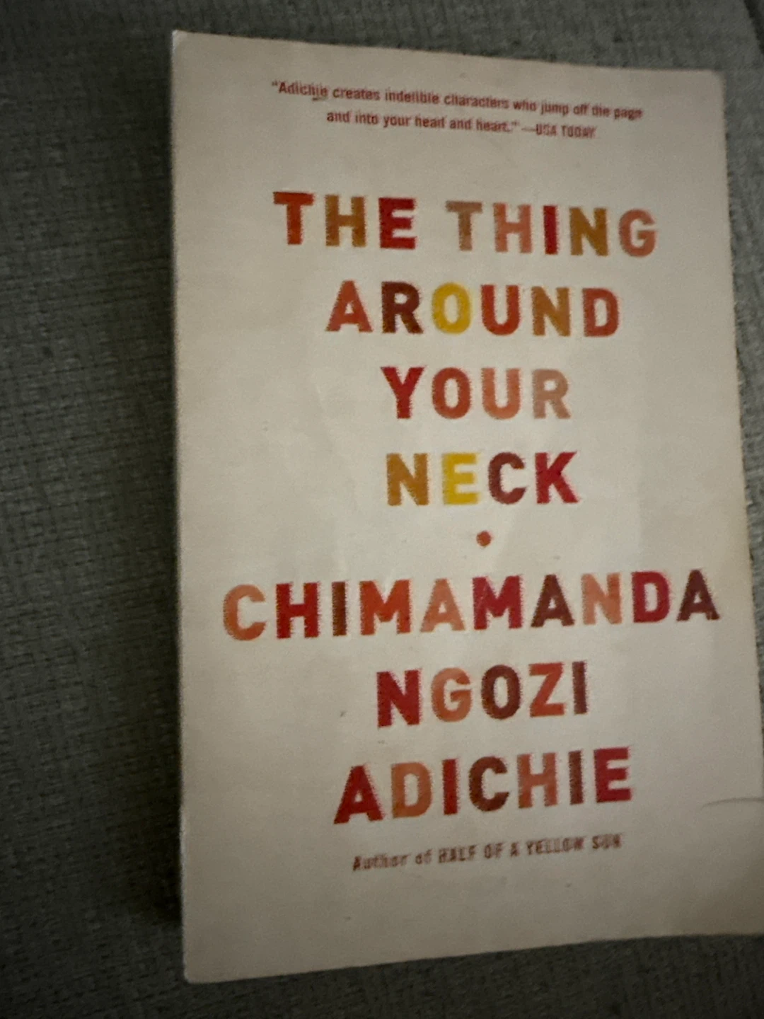 🏈 The Thing Around Your Neck by Chimamanda Ngozi Adichie