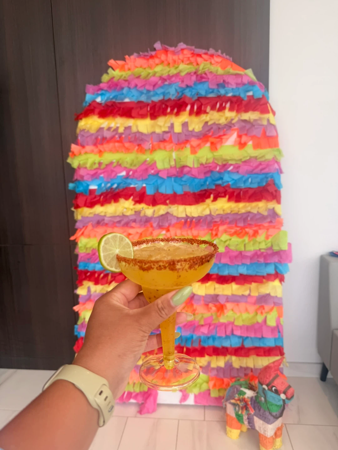 Fiesta Party Decoration Set