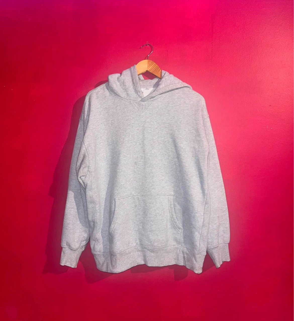 Aritzia Grey Hoodie