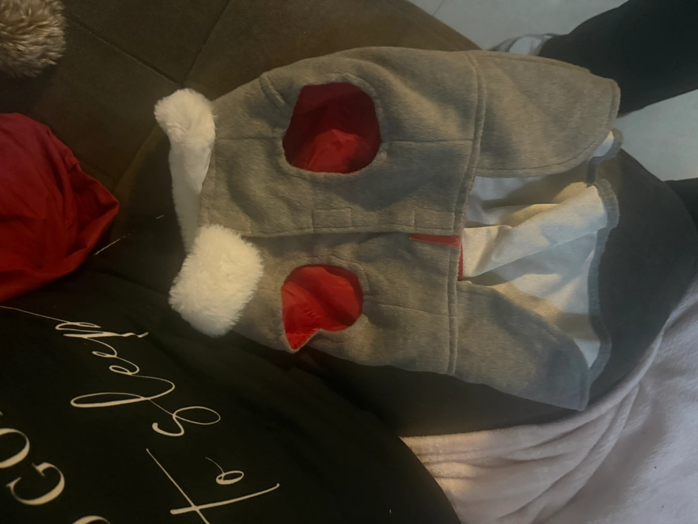 Dog coat