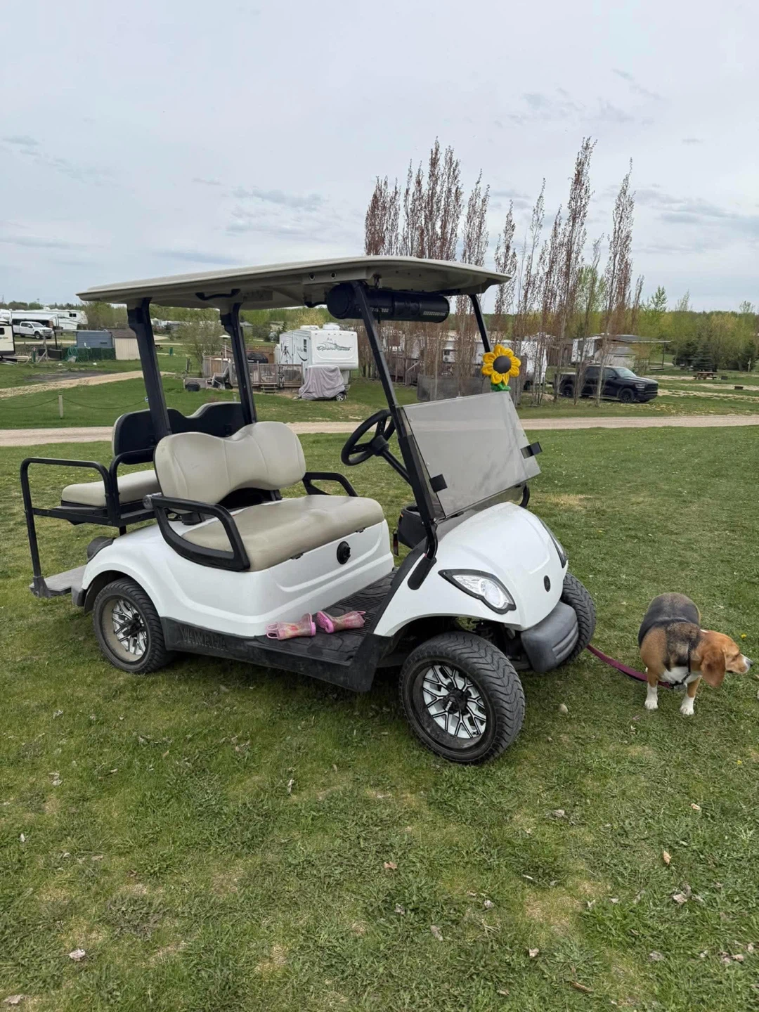 Yamaha Golf Cart