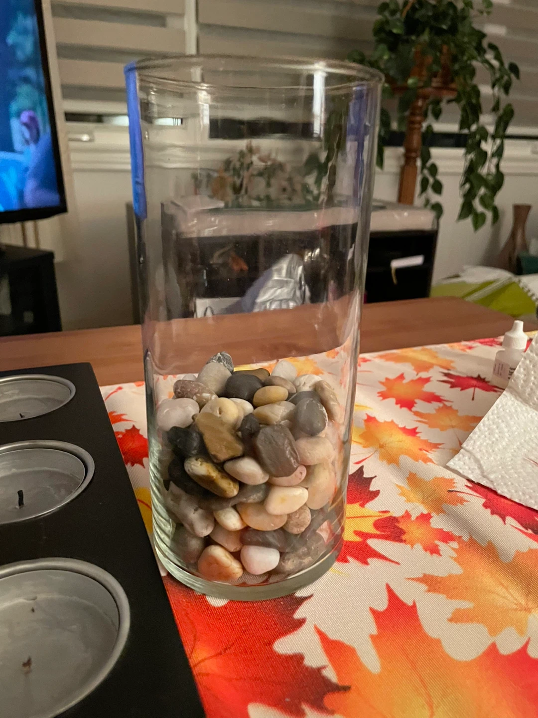Clear Glass Cylinder Vase with Decorative Stones