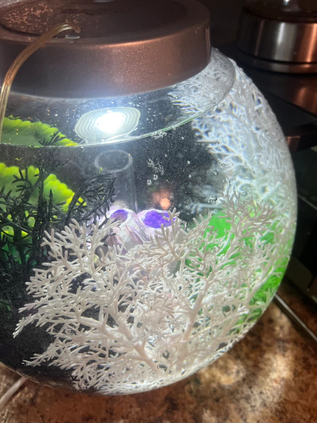 BiOrb sphere shaped fish tank - photo 3