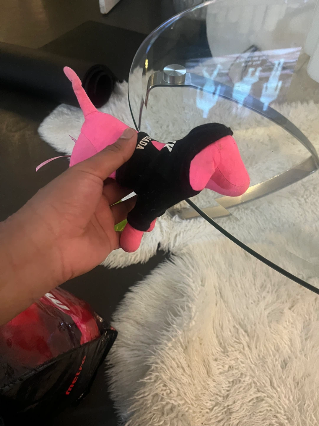 Victoria's Secret PINK Canada Plush Dog - photo 5