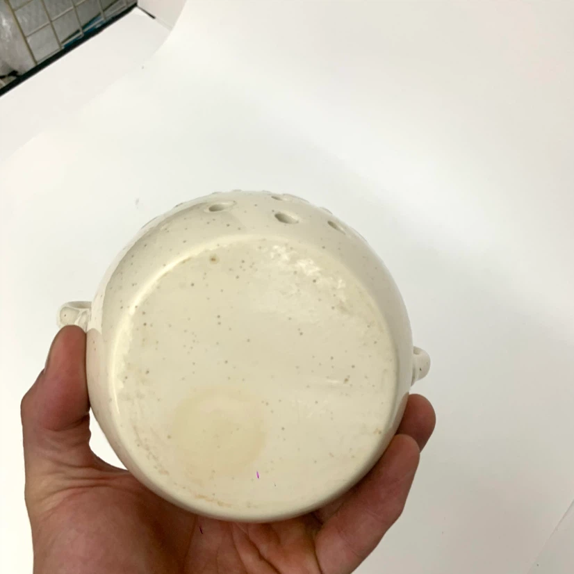 Ceramic Garlic Keeper - photo 5