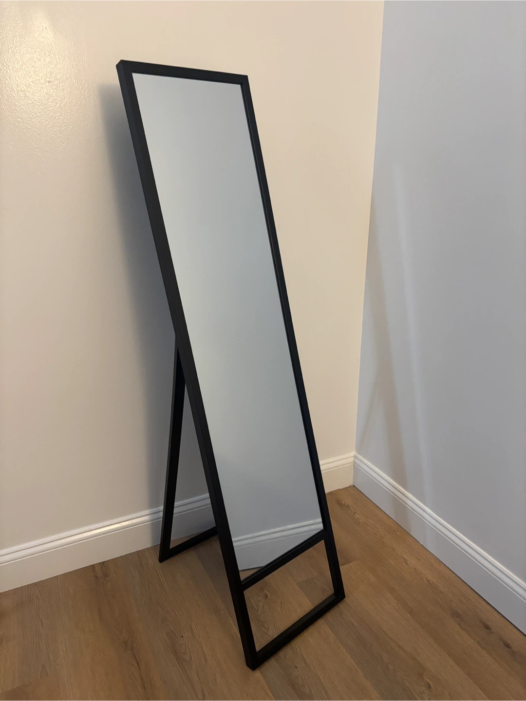 Black Full-Length Floor Mirror