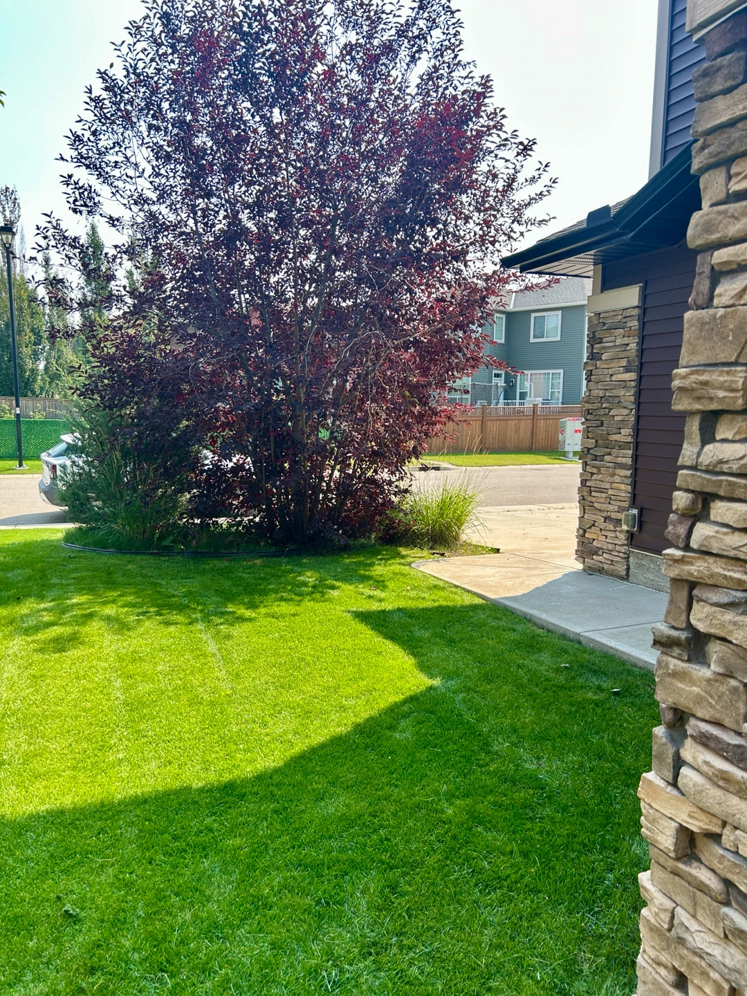 Lawn service - photo 2
