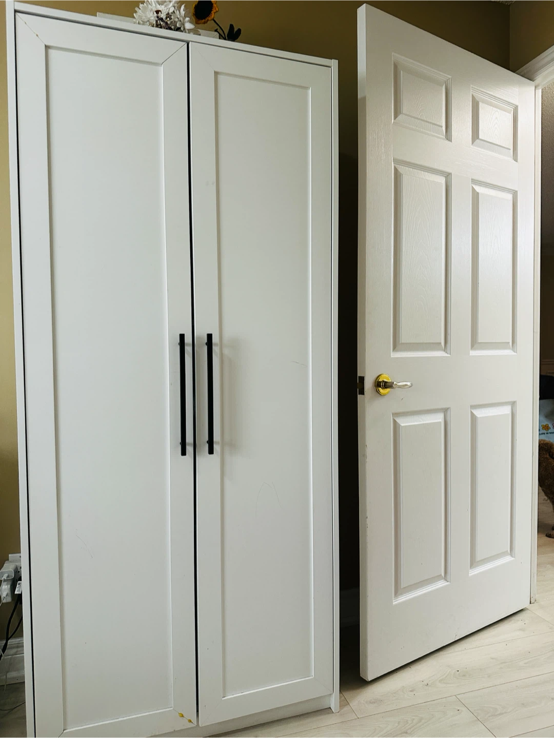 White Two-Door Wardrobe - photo 2