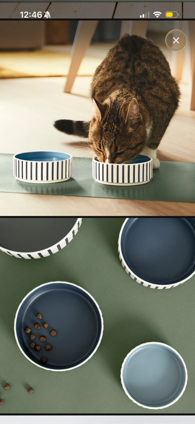 two ikea pet bowls