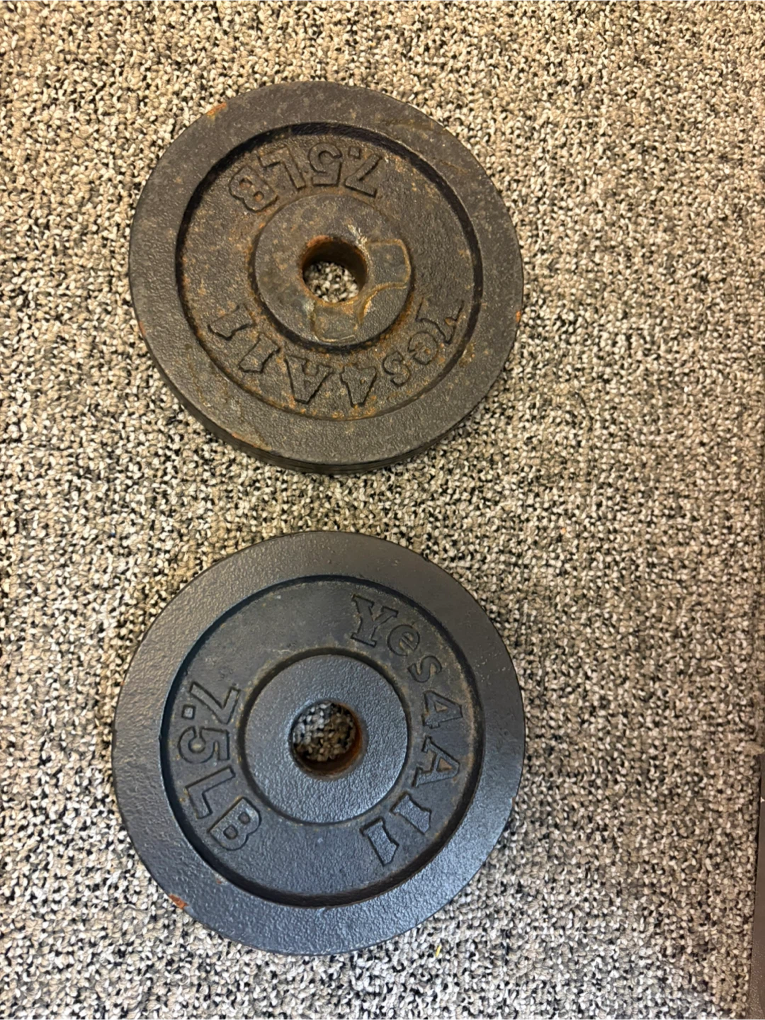 Yes4All 7.5lb Cast Iron Weight Plates