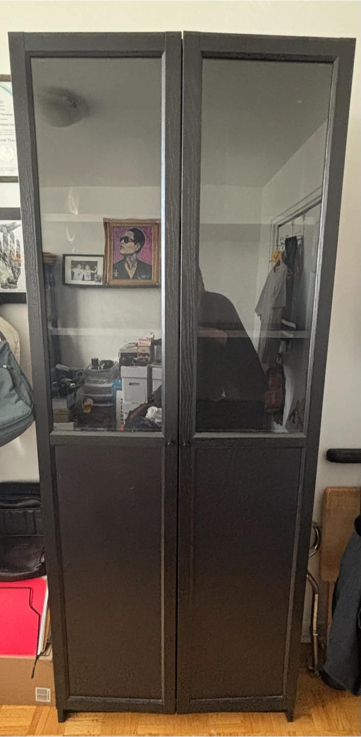 Black Glass Door Storage Cabinet