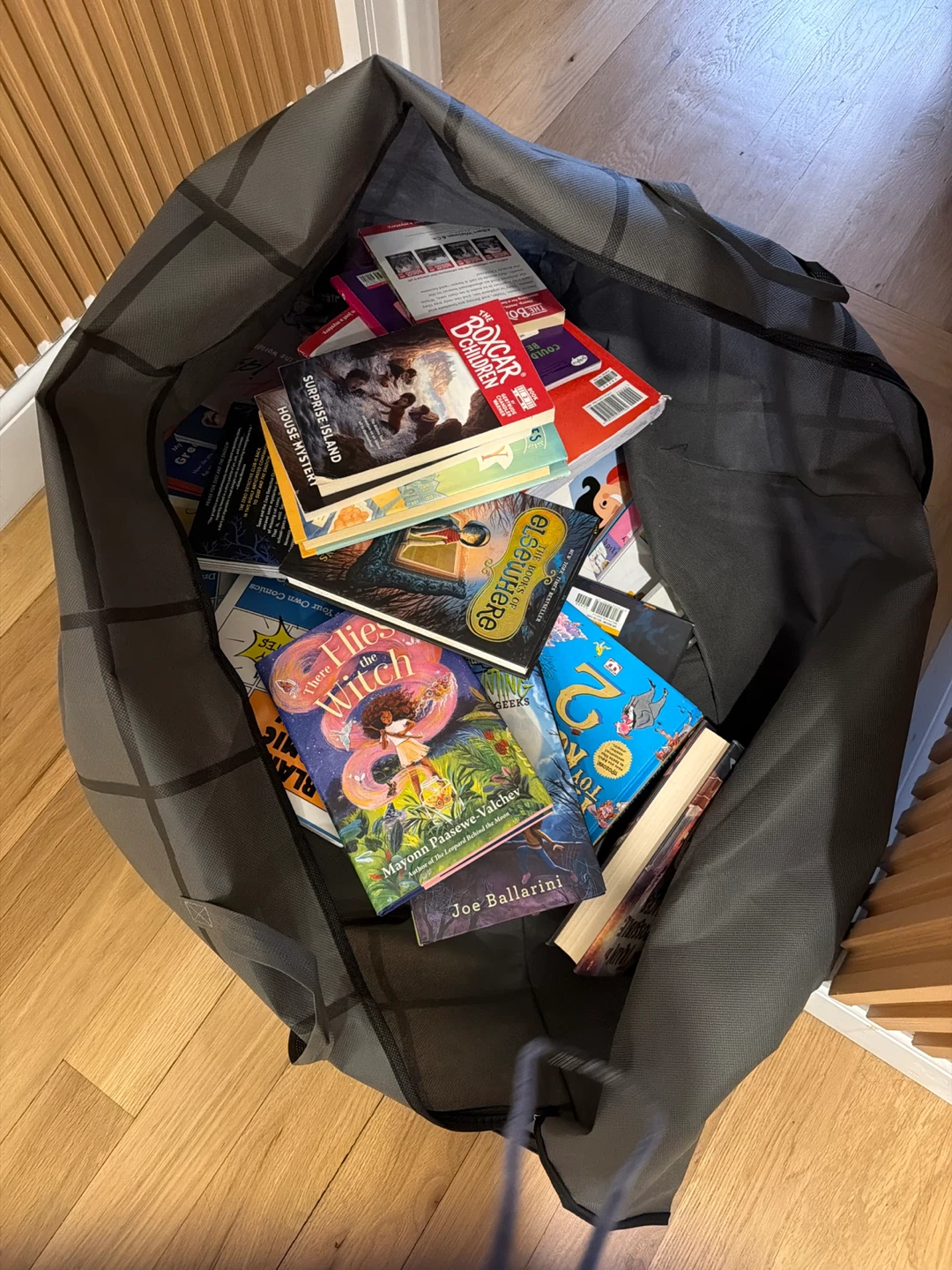 Assorted Children's Chapter Books Bundle