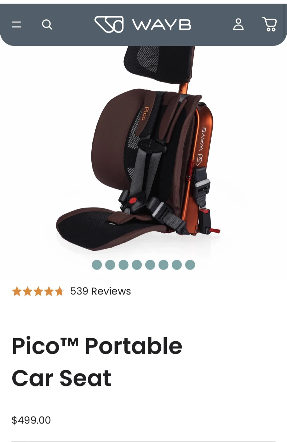 WAYB Pico Portable Car Seat
