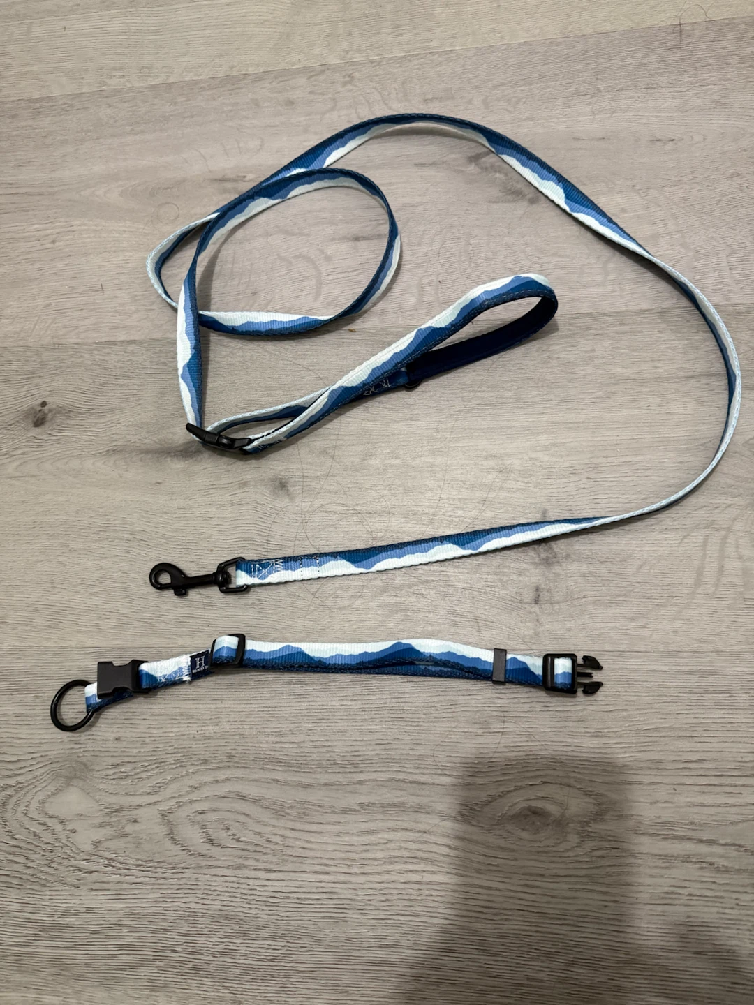 Hamilton Dog Leash and Collar Set