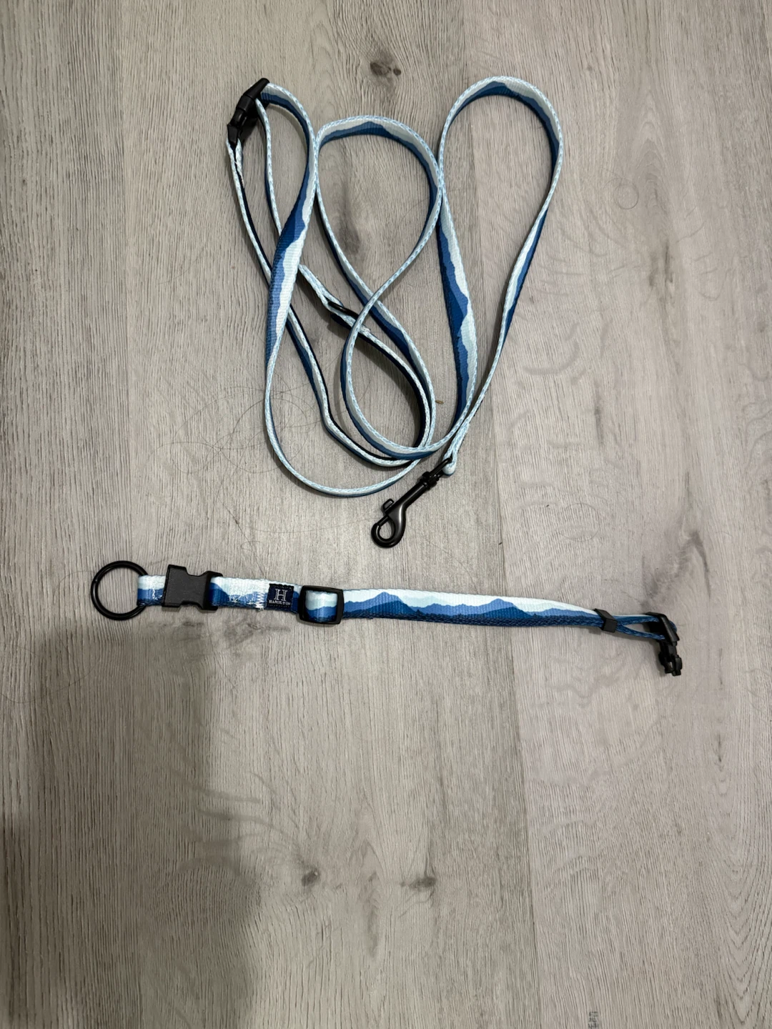 Hamilton Dog Leash and Collar Set - photo 2