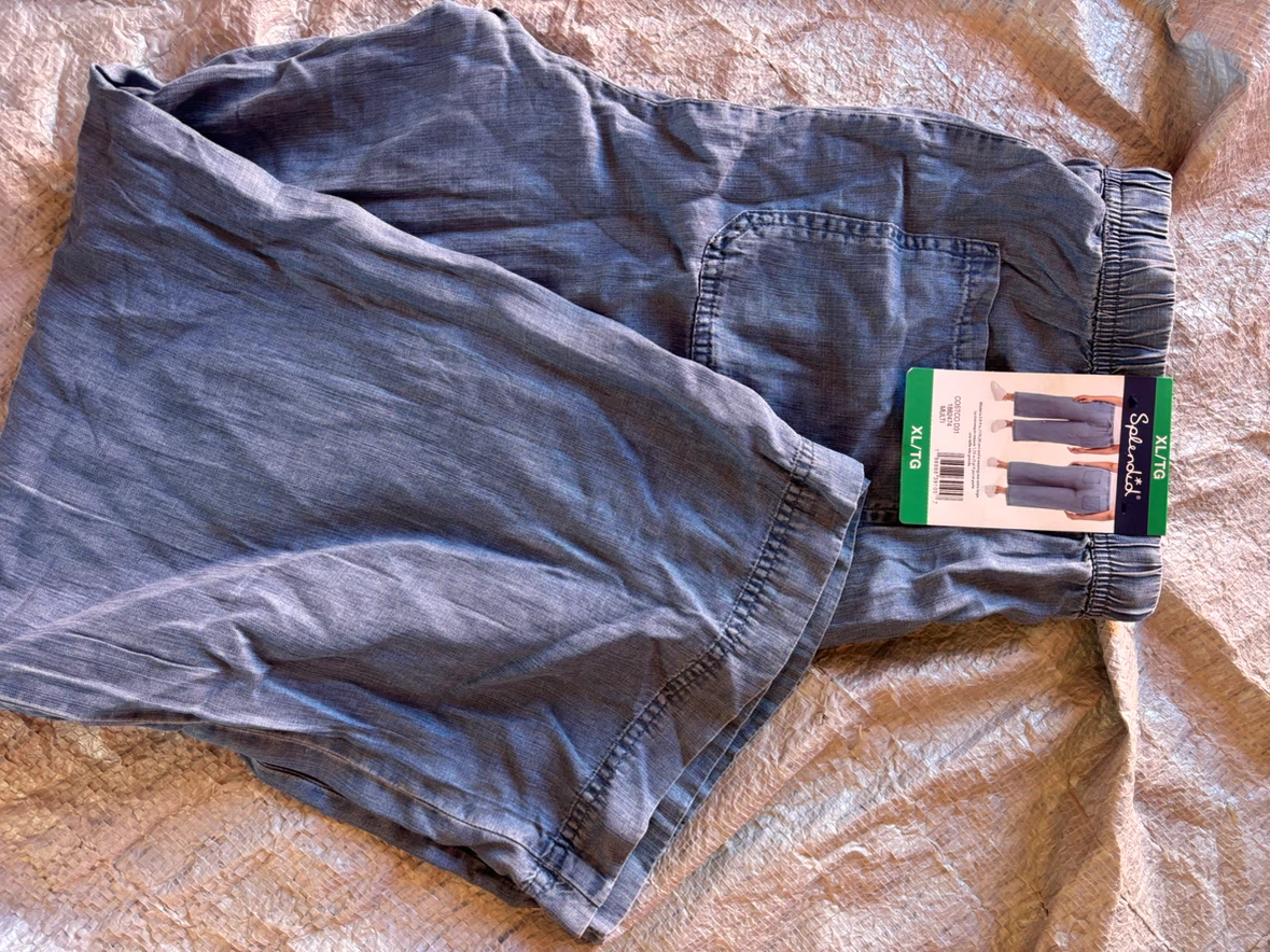 Splendid Brand Blue Pull-On Pants