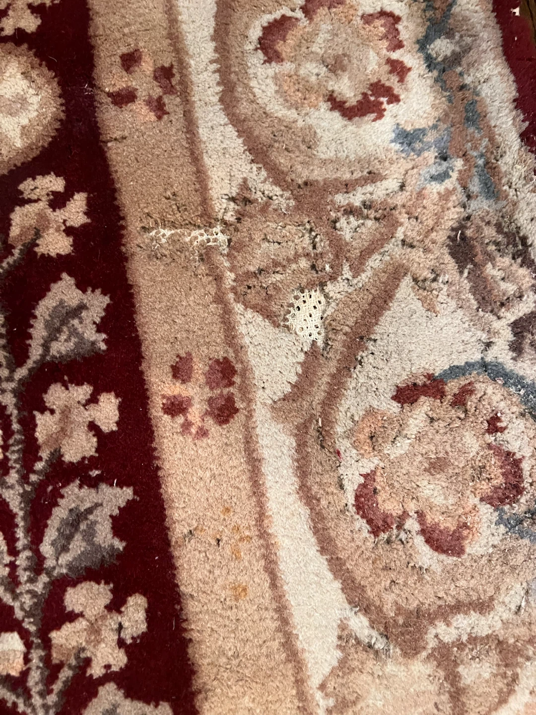 Floral Area Rug in Burgundy and Beige - photo 3