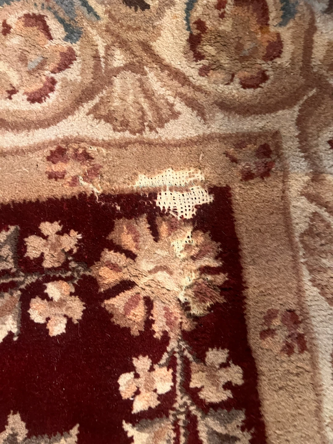 Floral Area Rug in Burgundy and Beige - photo 4
