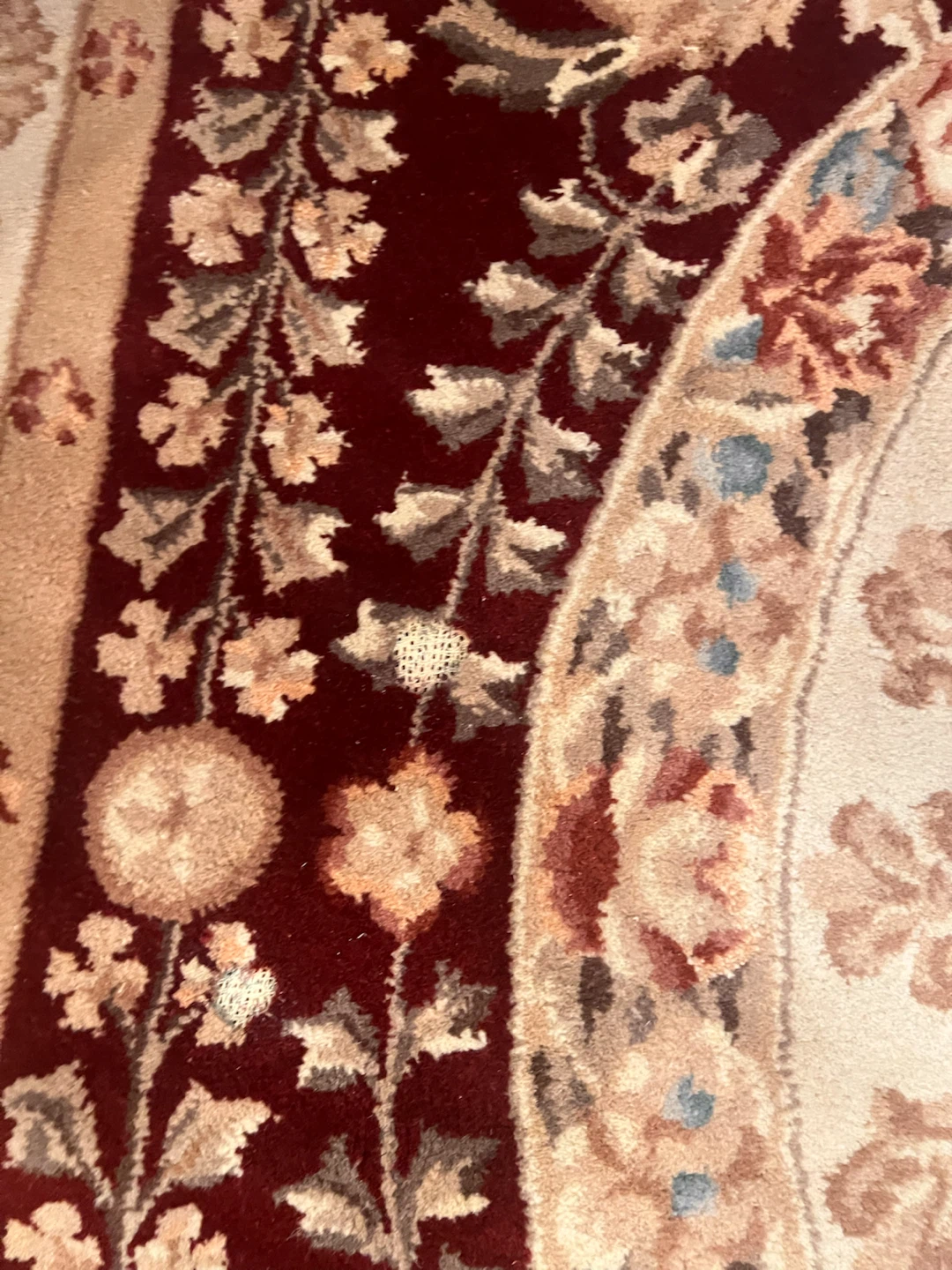 Floral Area Rug in Burgundy and Beige - photo 5