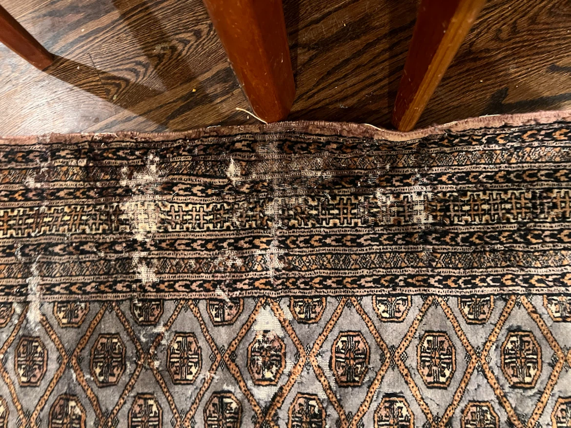 #5 Vintage Silk Persian-Style Area Rug - photo 3