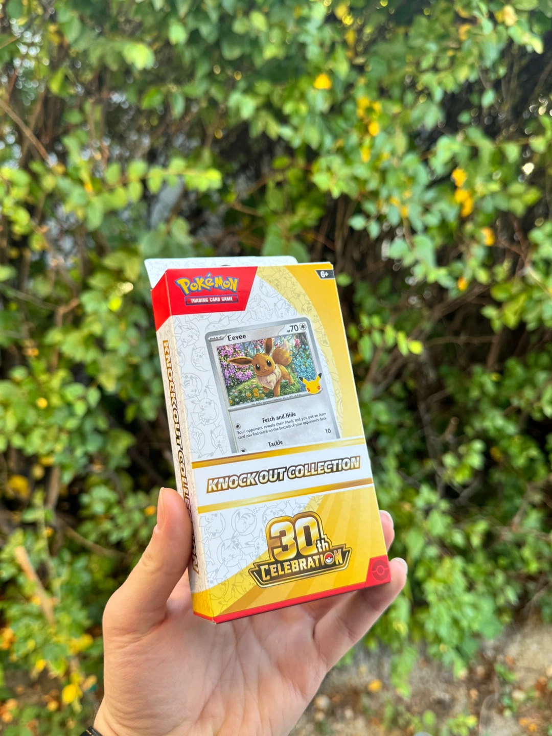 Pokemon 30th celebration knock out collection
