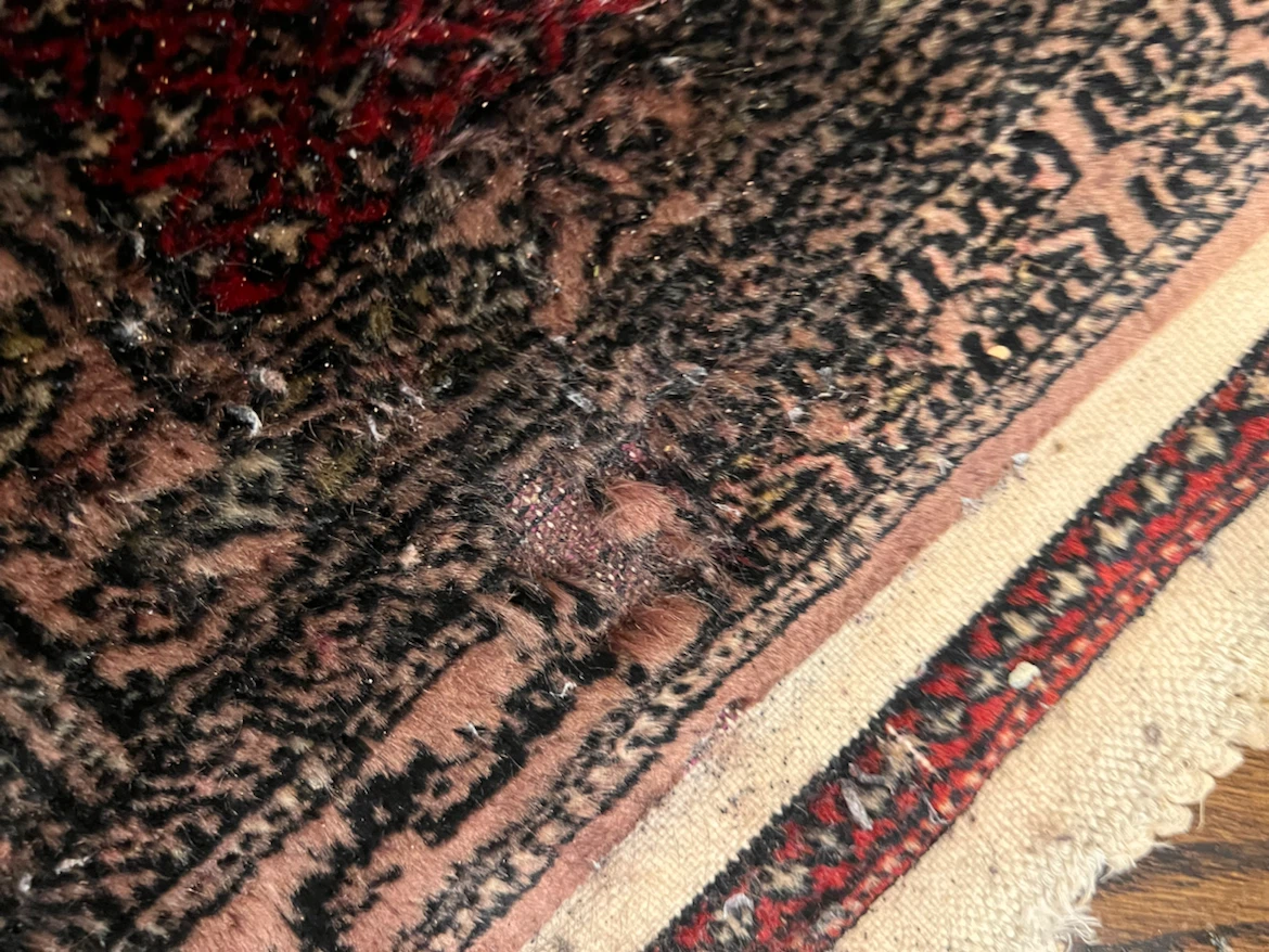 #1 vintage Silk Prayer Rug - photo 2