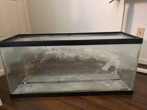 Seapora Glass Aquarium 50 gallon