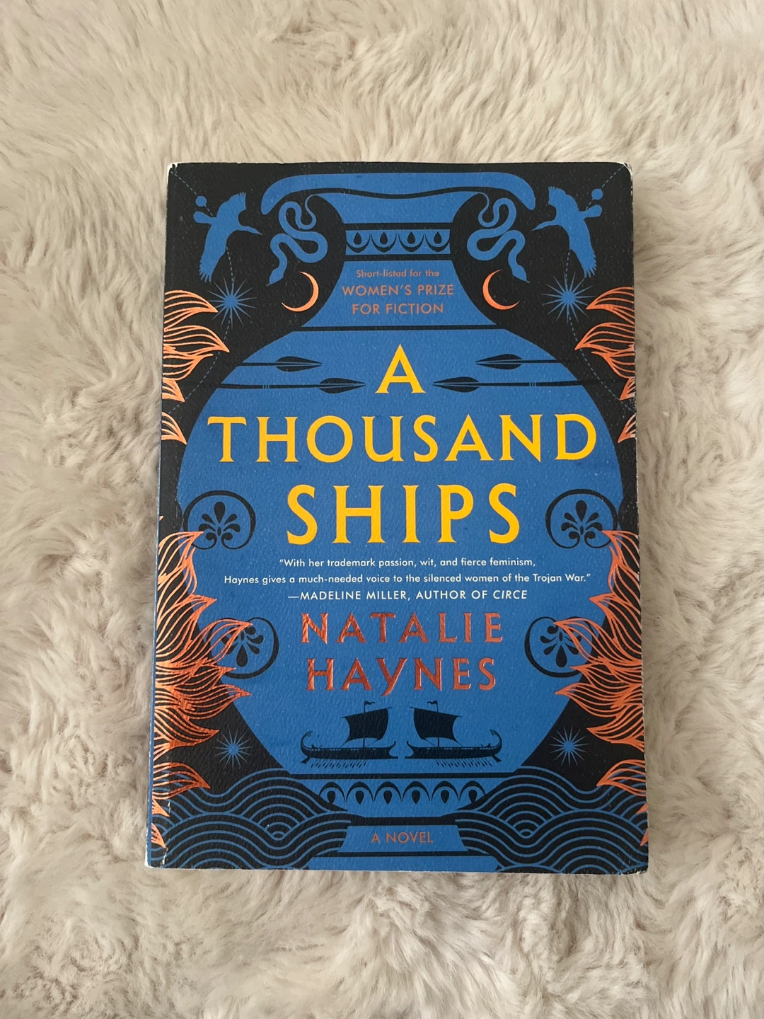 A Thousand Ships by Natalie Haynes