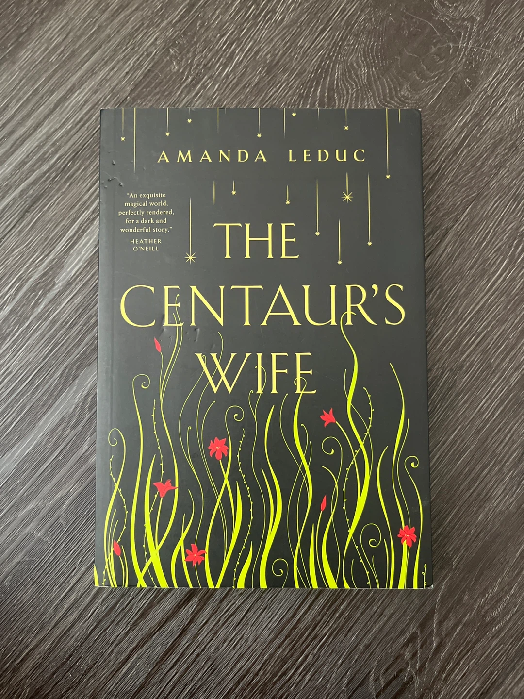 The Centaur's Wife by Amanda Leduc