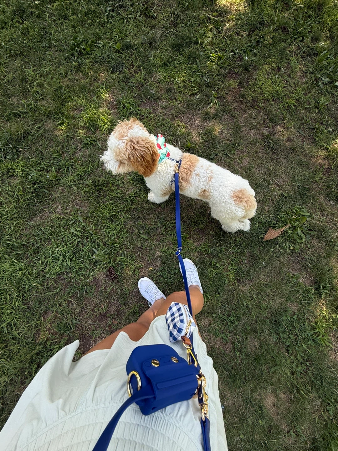 Sunny Tails Navy Dog Harness - photo 3