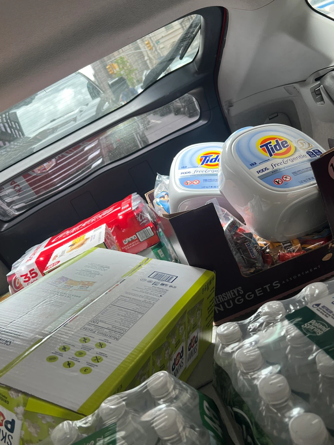 Costco Bulk Assortment Bundle