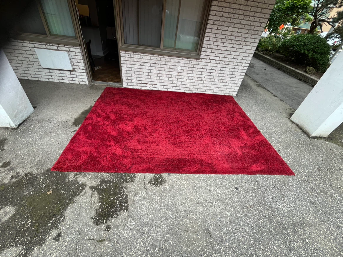 Large Red Shag Area Rug - photo 2