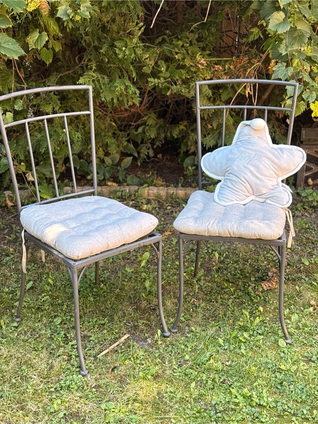 Set of two metal patio chairs